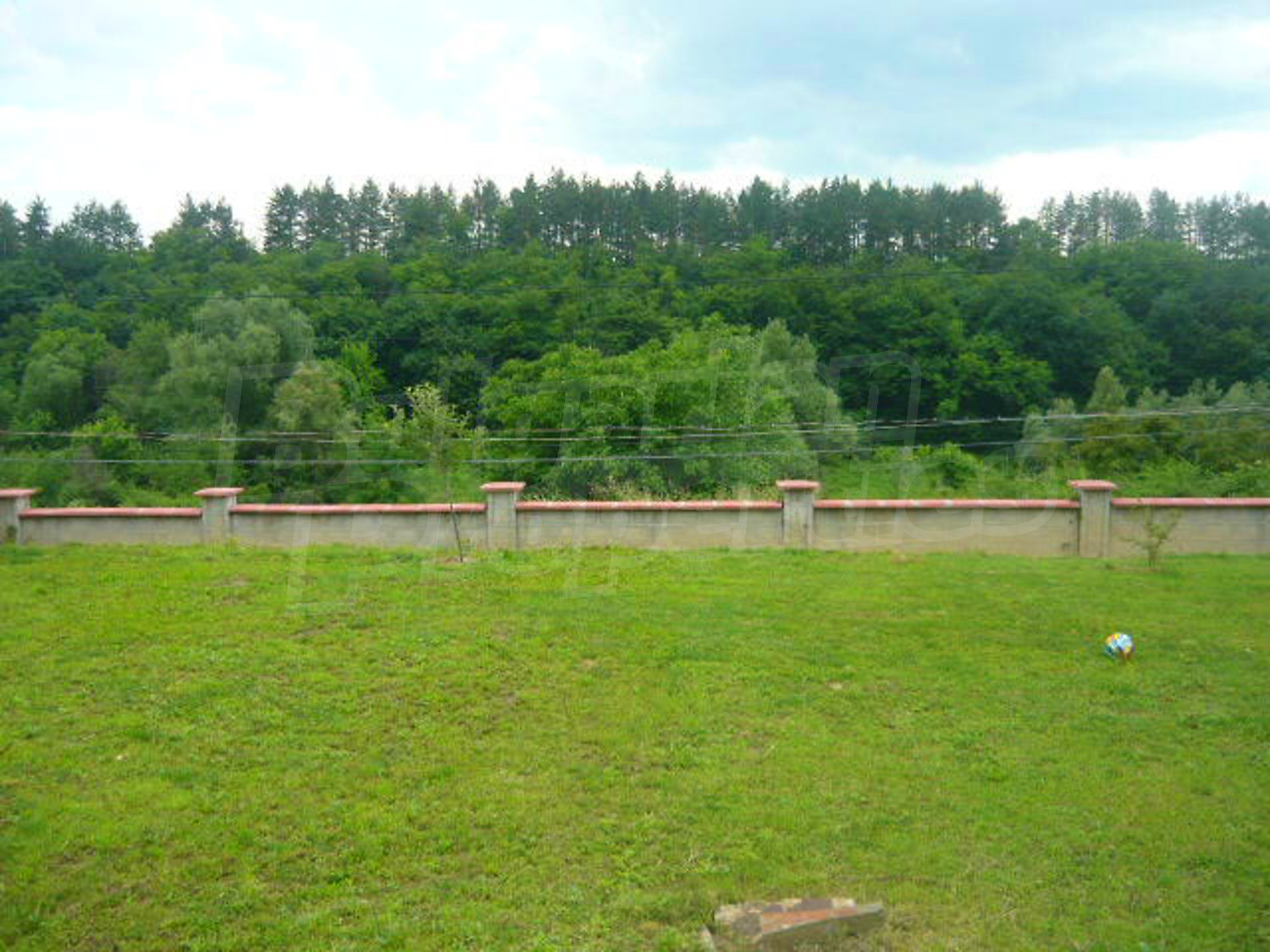 Gallery Picture 59