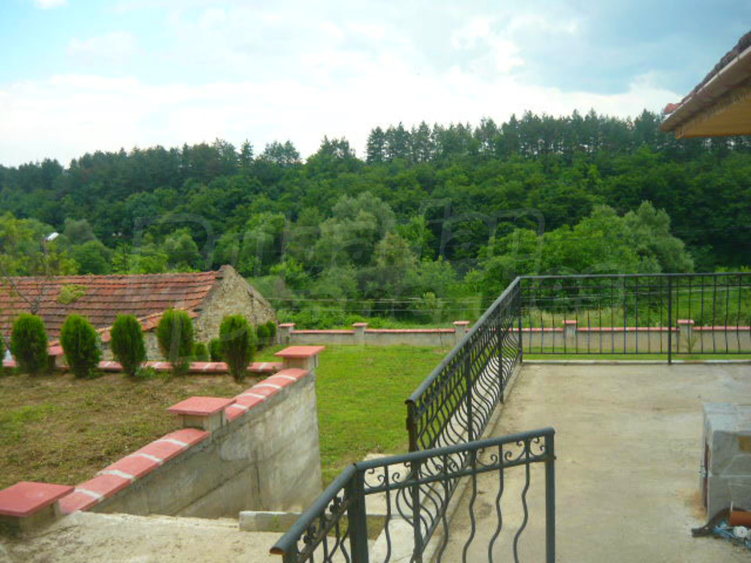Gallery Picture 61