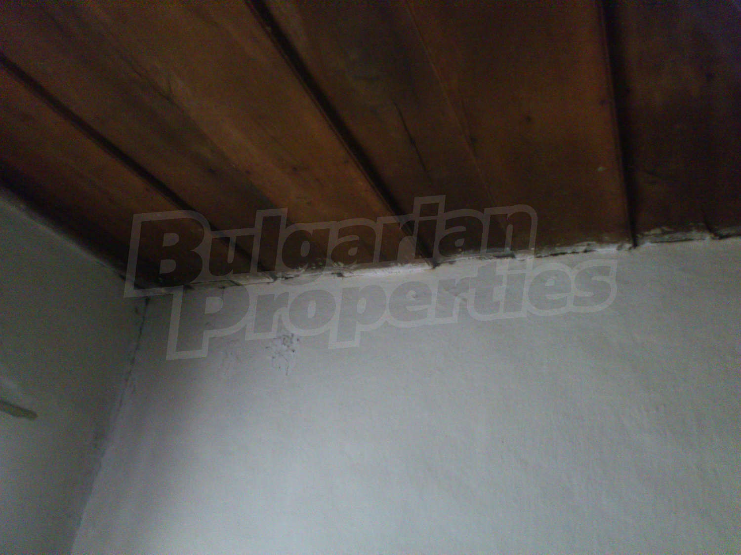 Gallery Picture 11