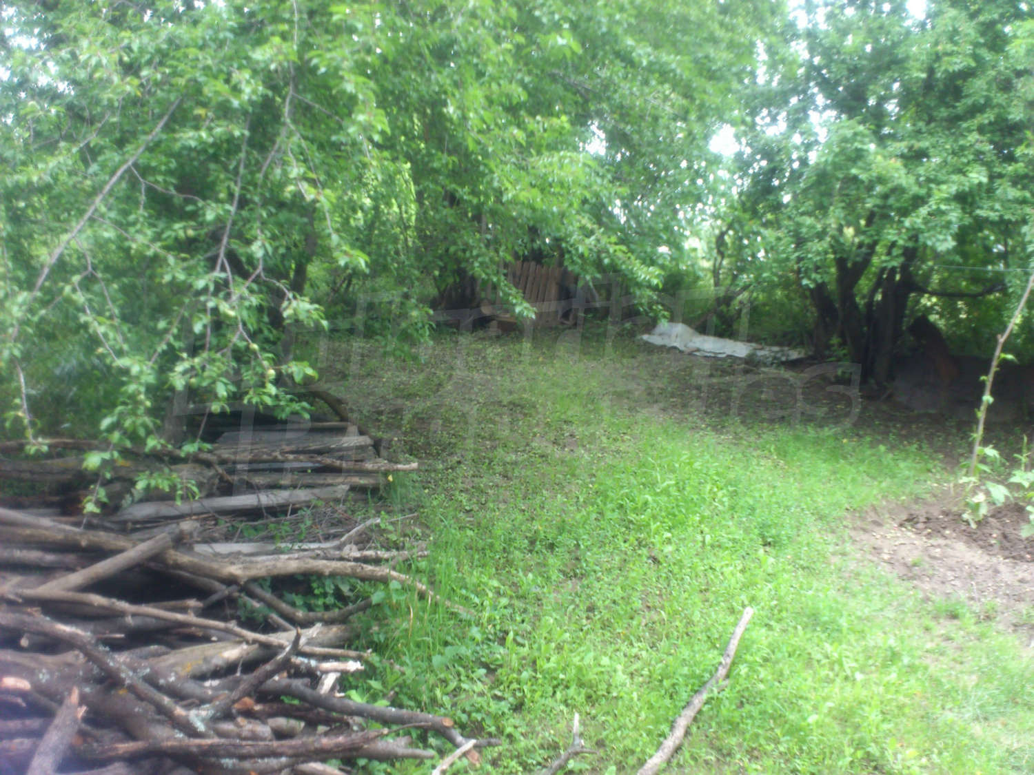 Gallery Picture 17