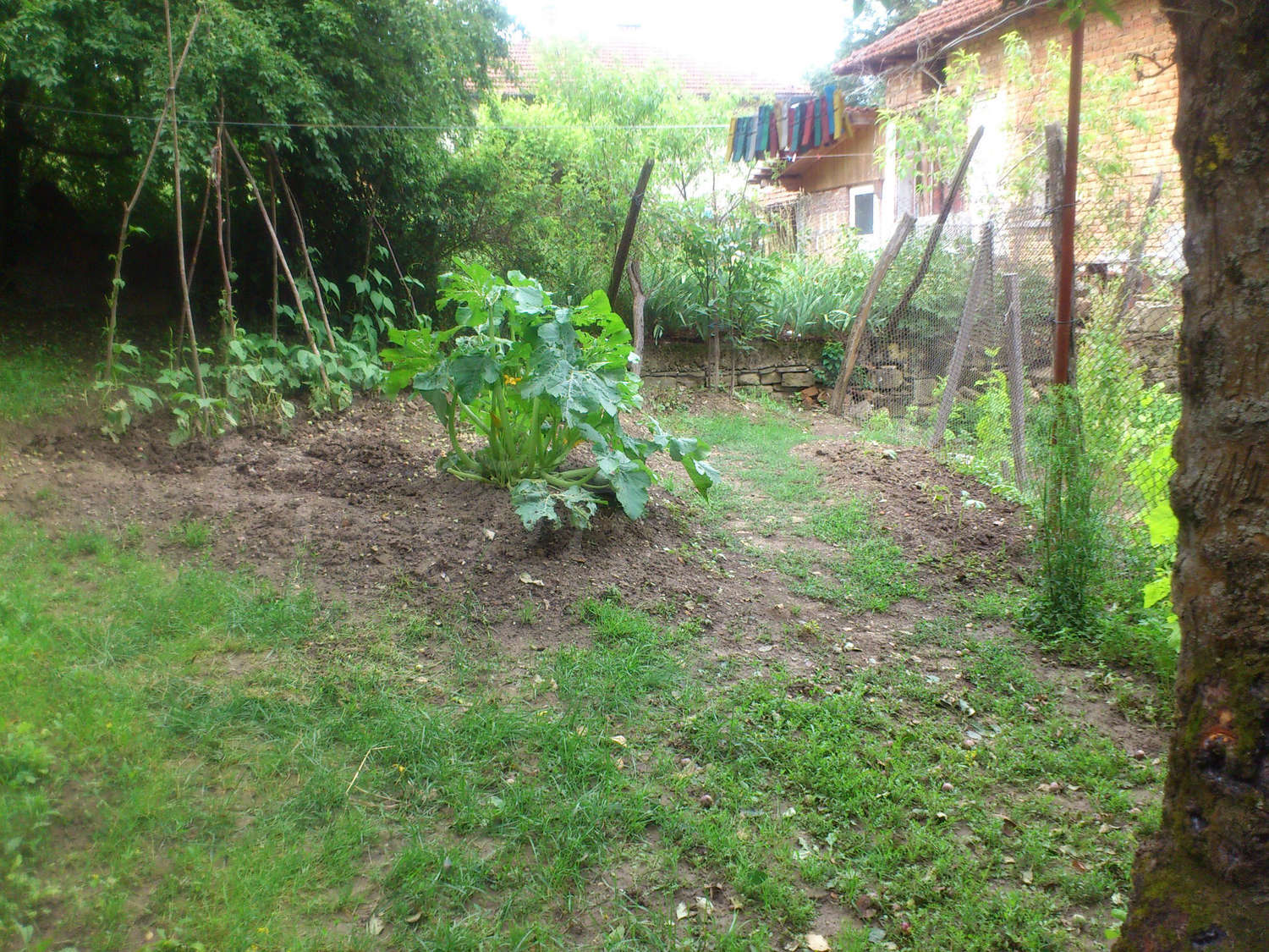 Gallery Picture 18