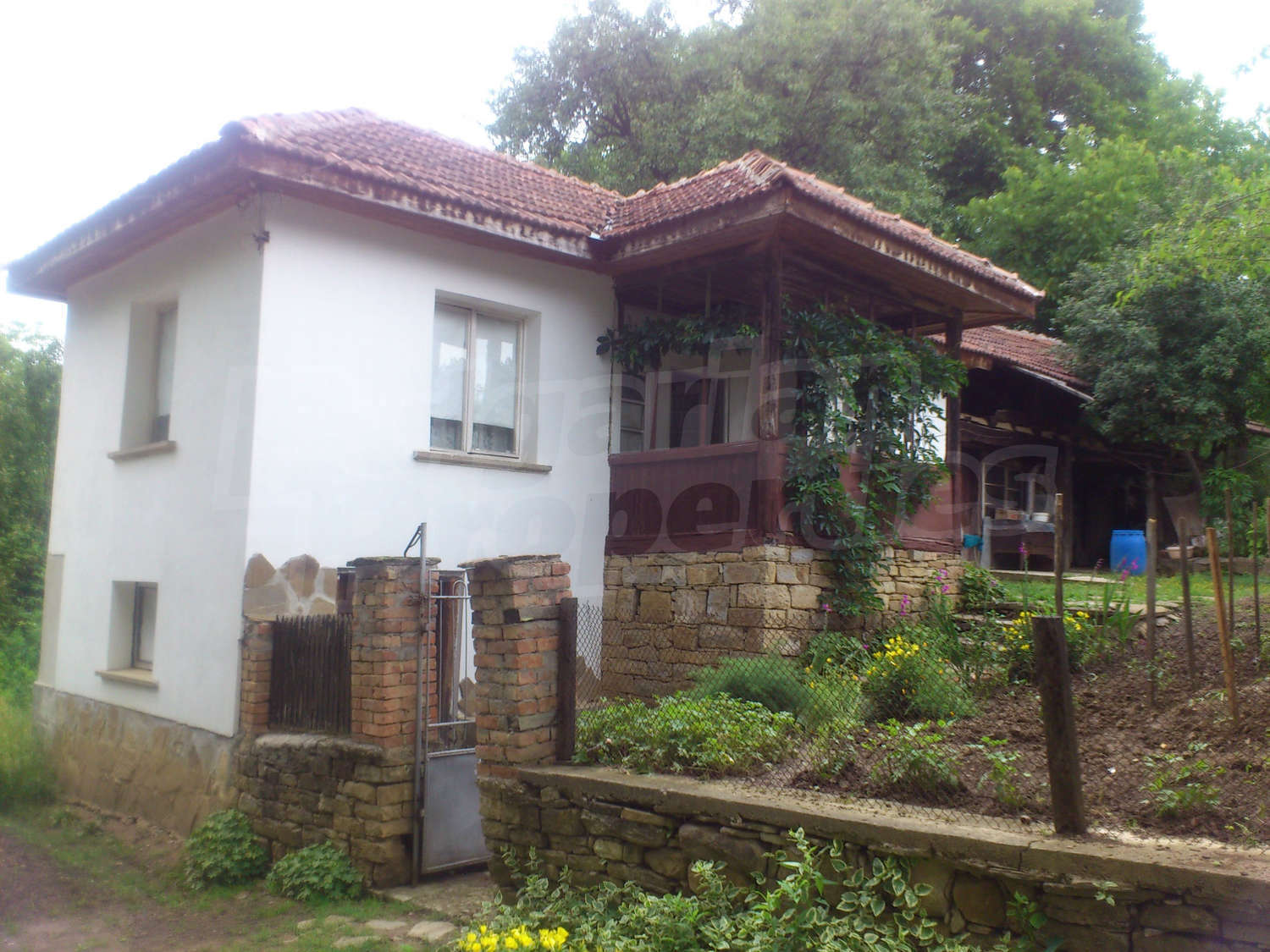 Gallery Picture 5