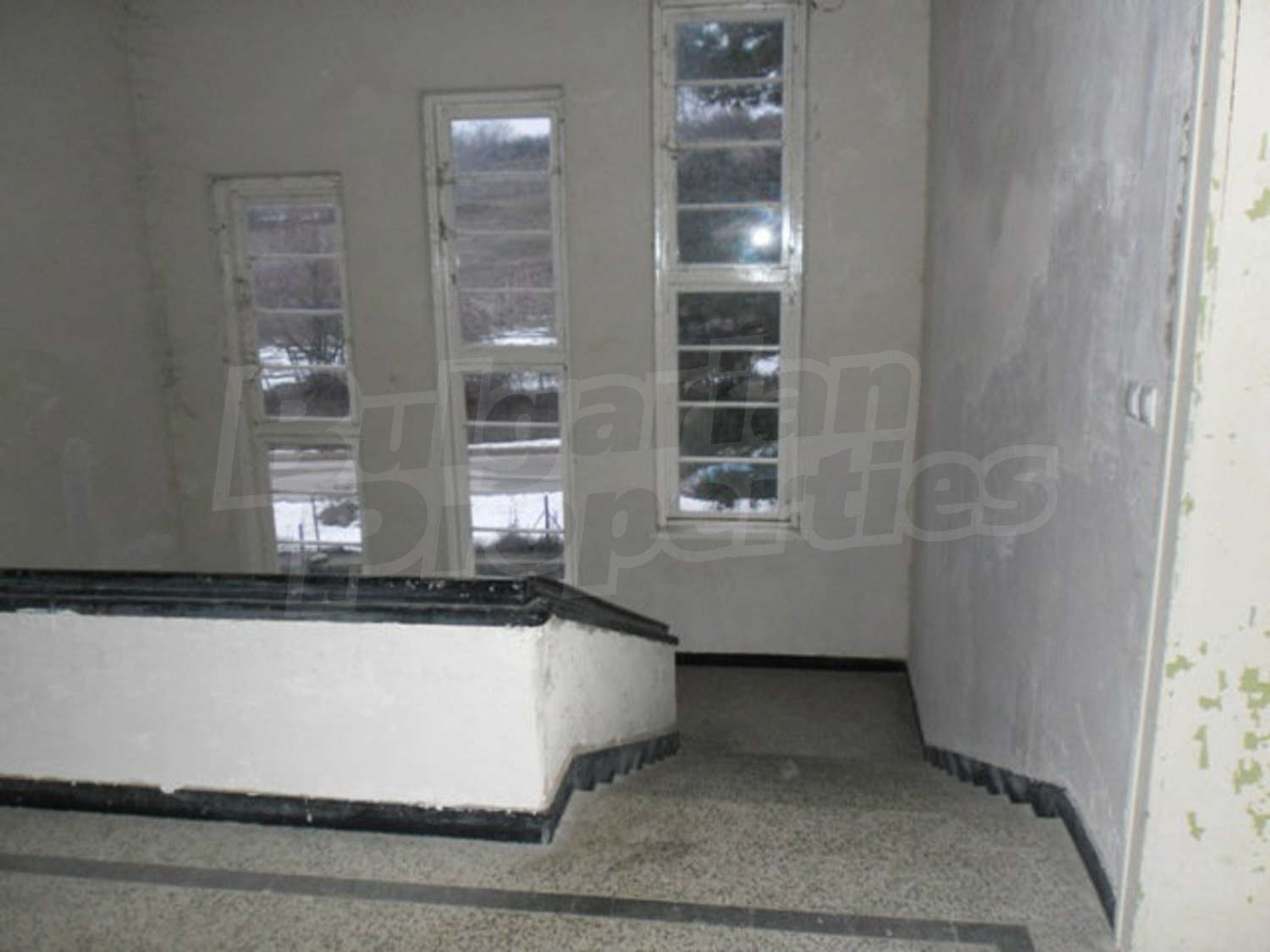 Gallery Picture 19