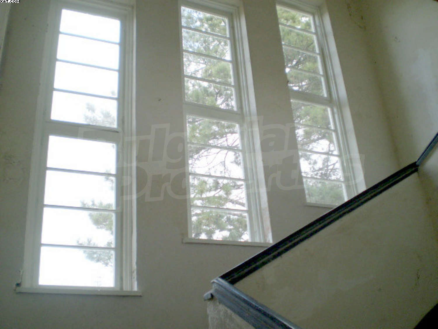 Gallery Picture 21
