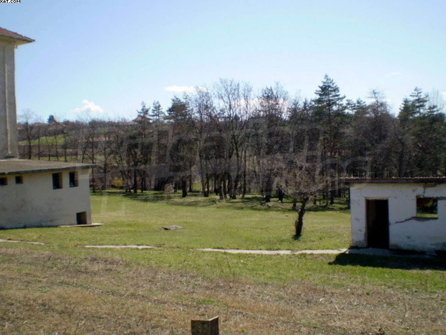 Gallery Picture 23