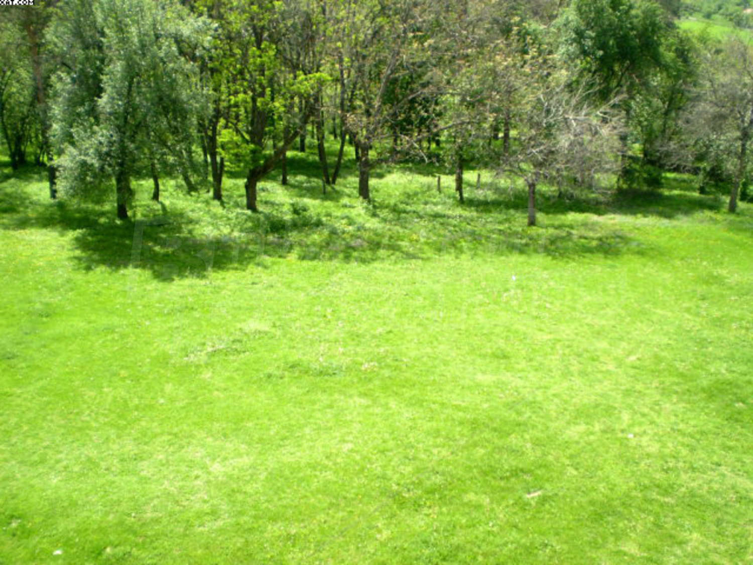 Gallery Picture 24