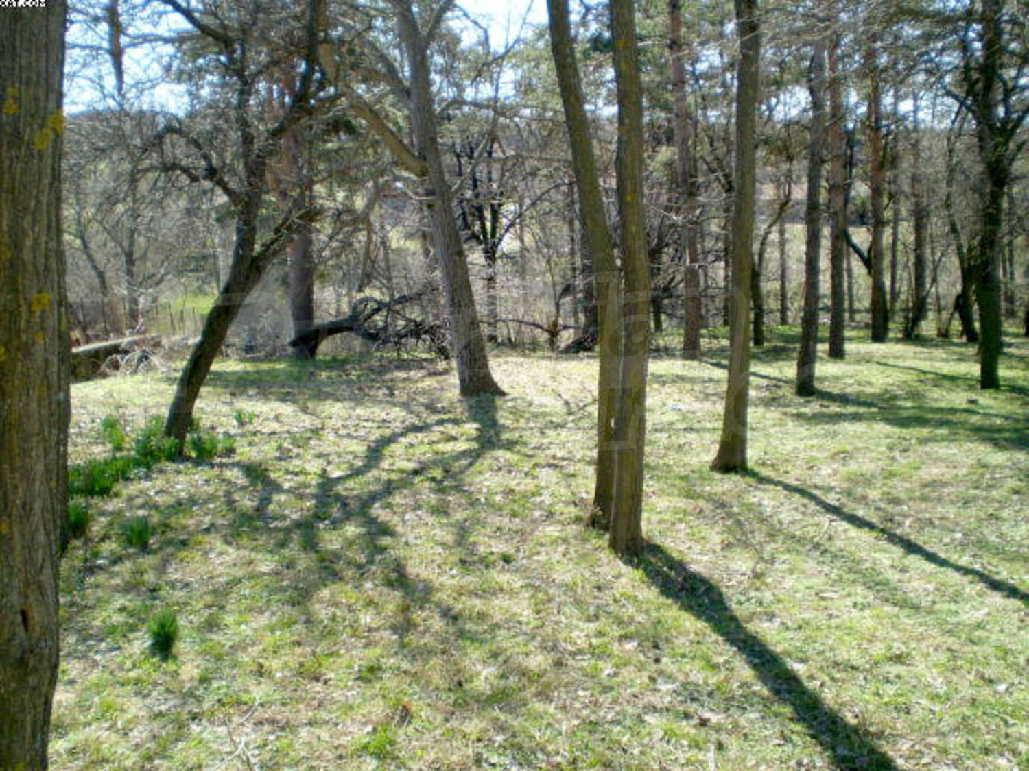 Gallery Picture 25
