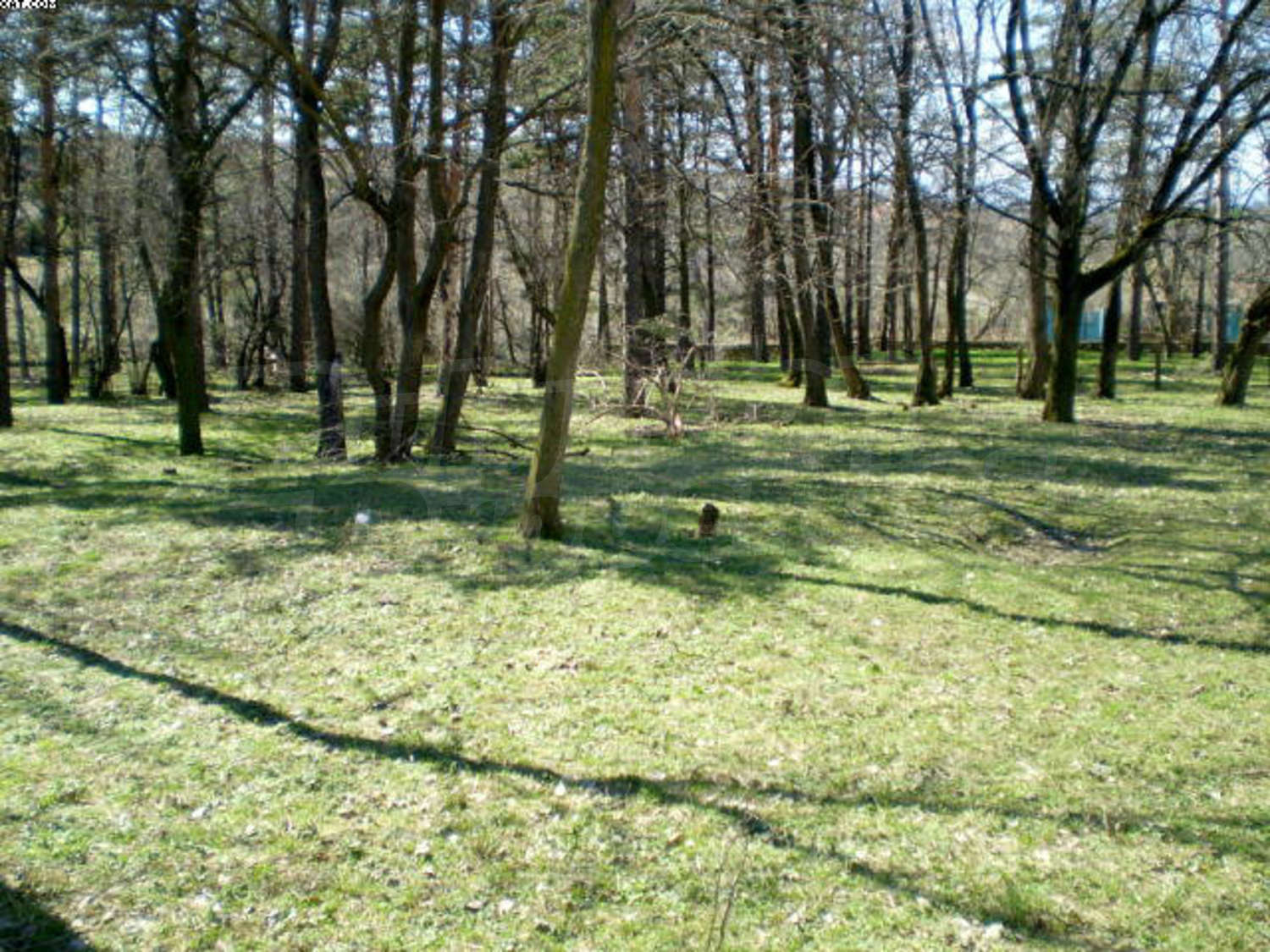 Gallery Picture 26