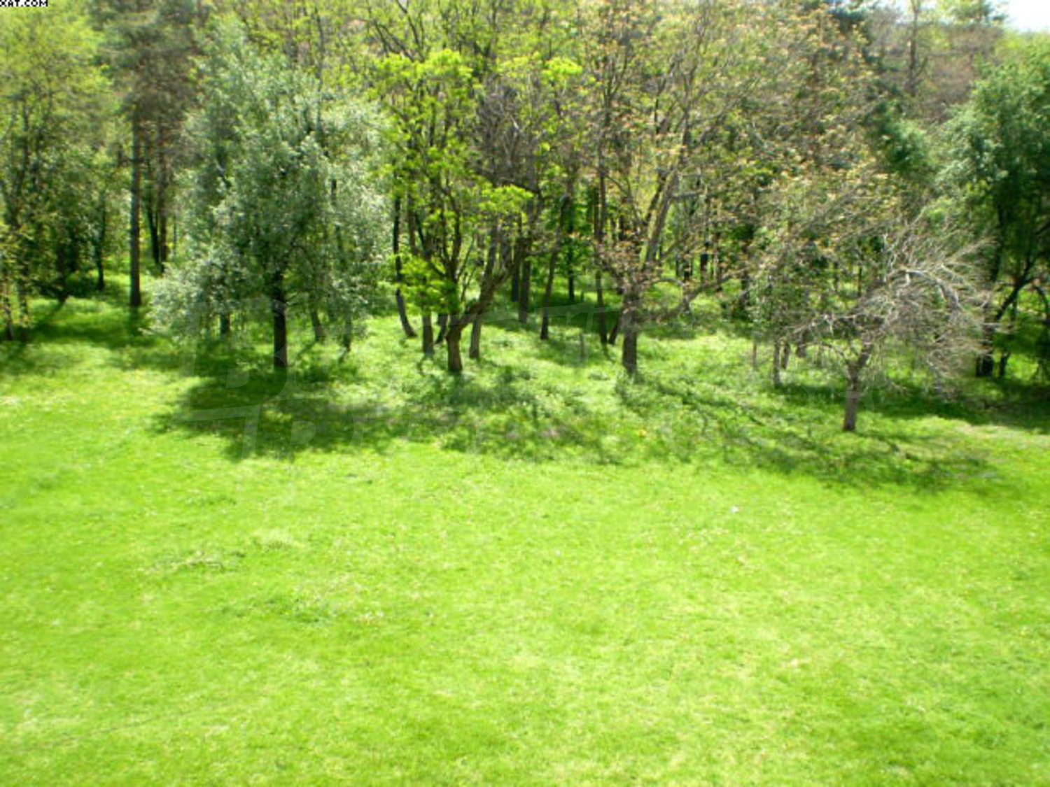 Gallery Picture 27