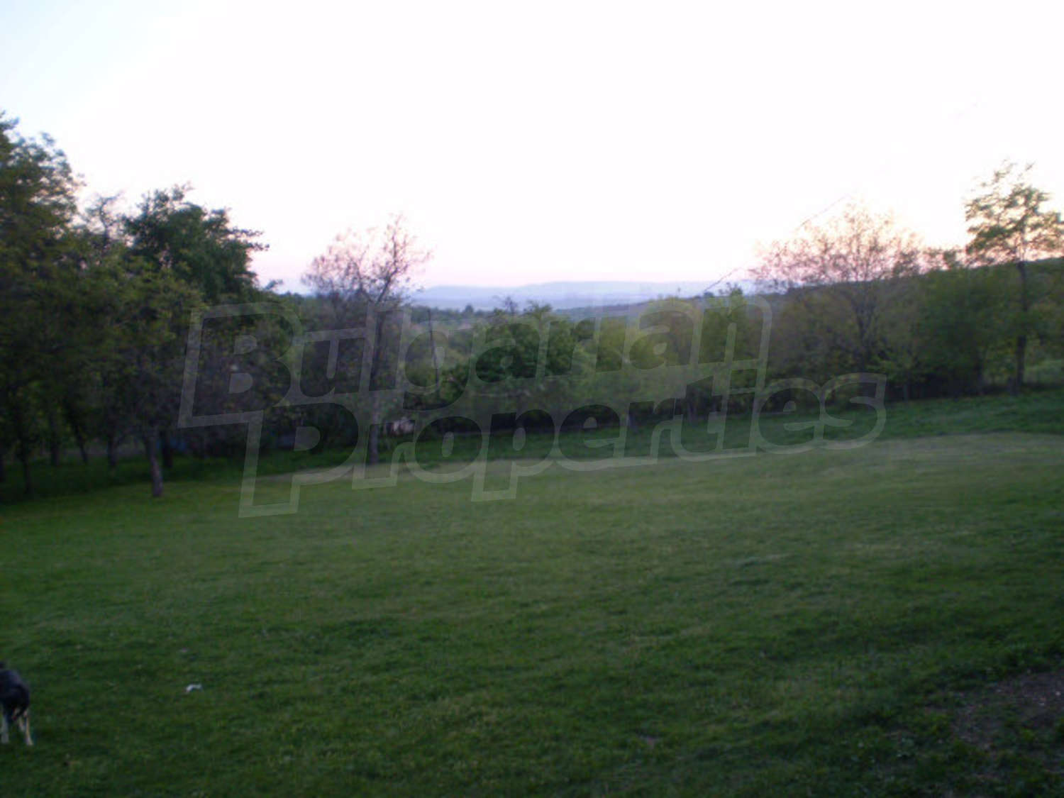 Gallery Picture 31