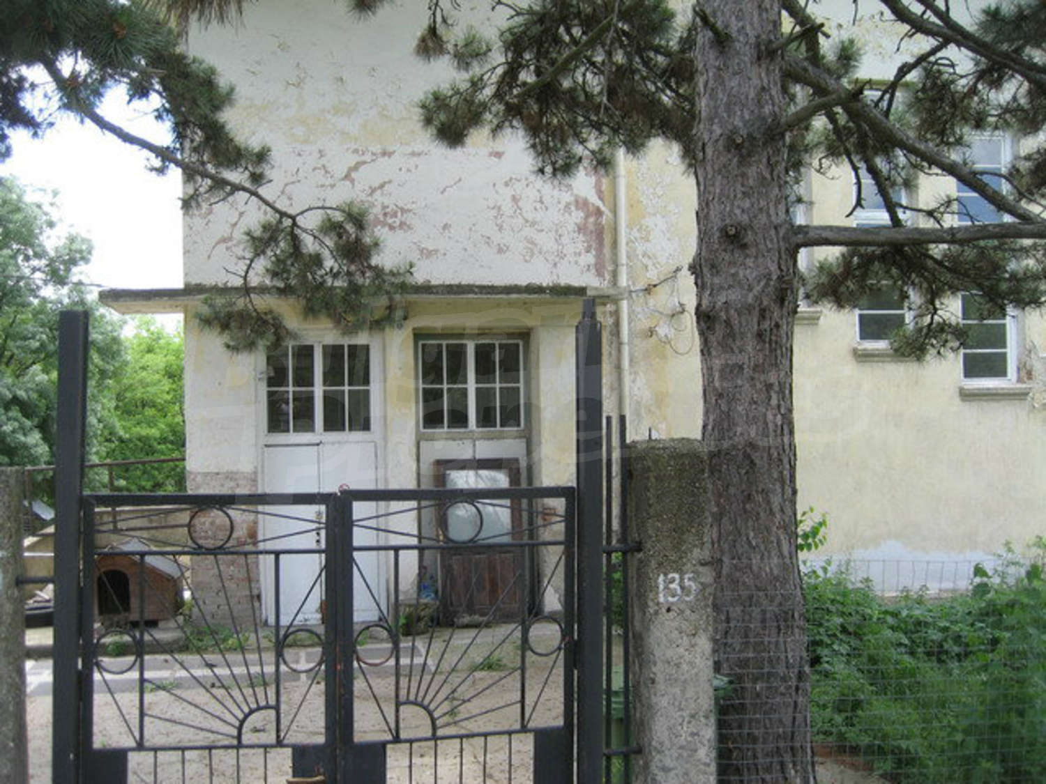 Gallery Picture 43