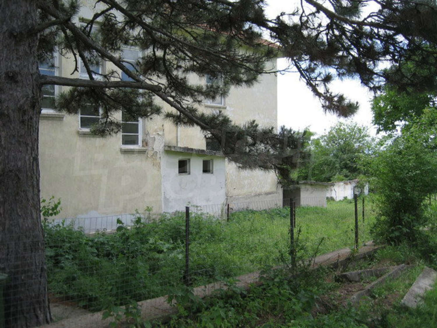 Gallery Picture 44