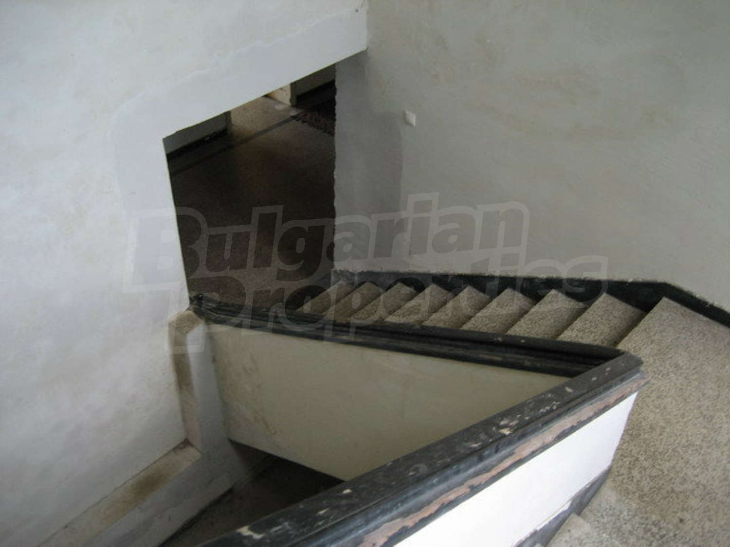 Gallery Picture 49
