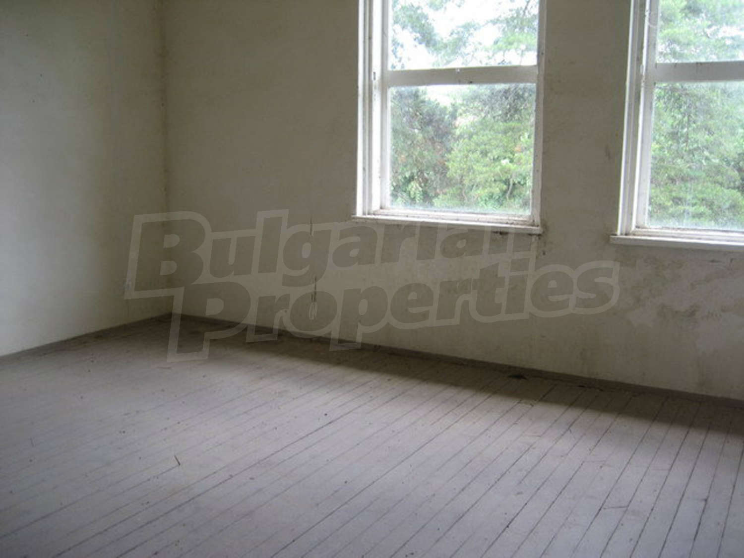 Gallery Picture 50