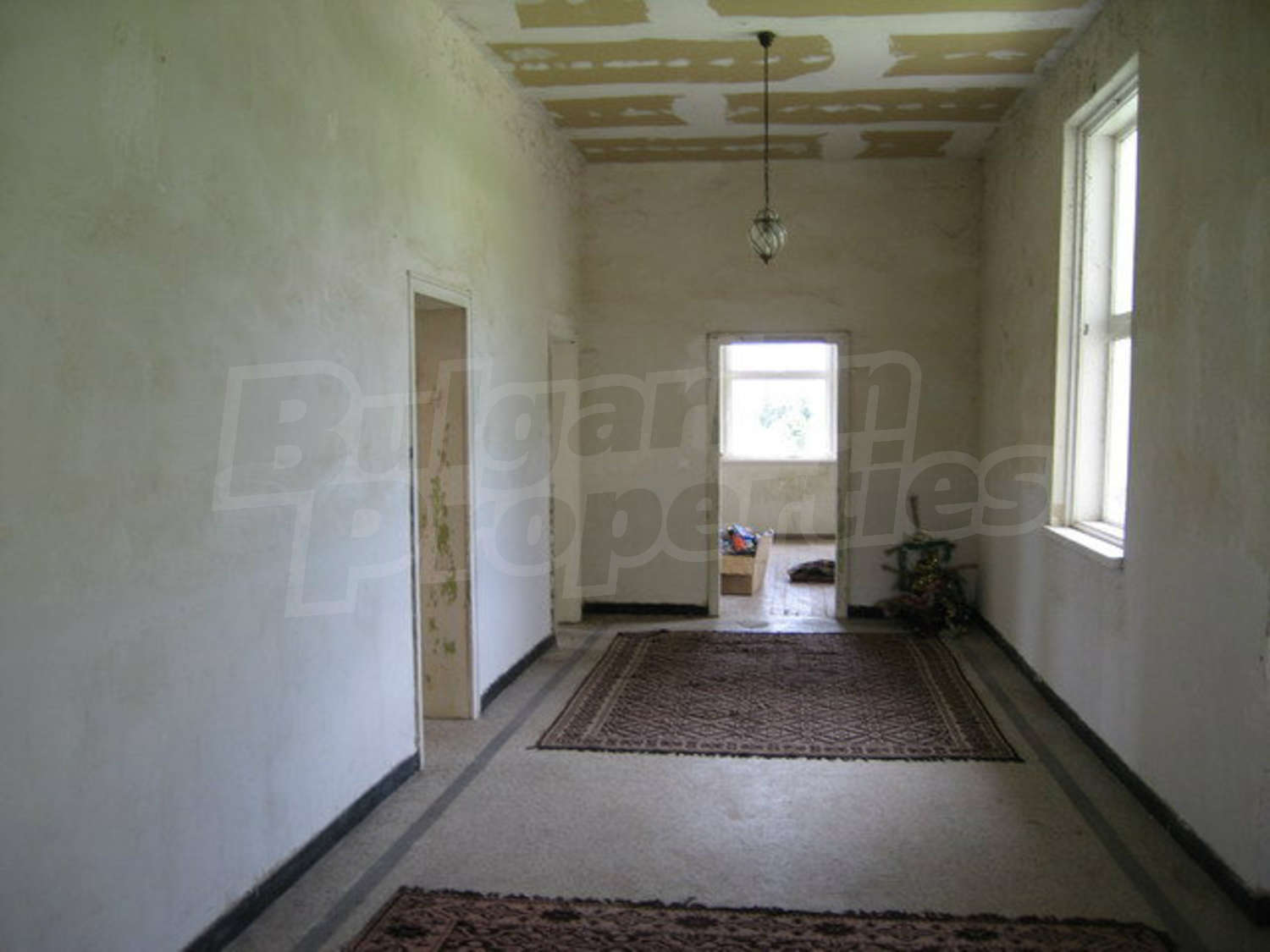 Gallery Picture 51
