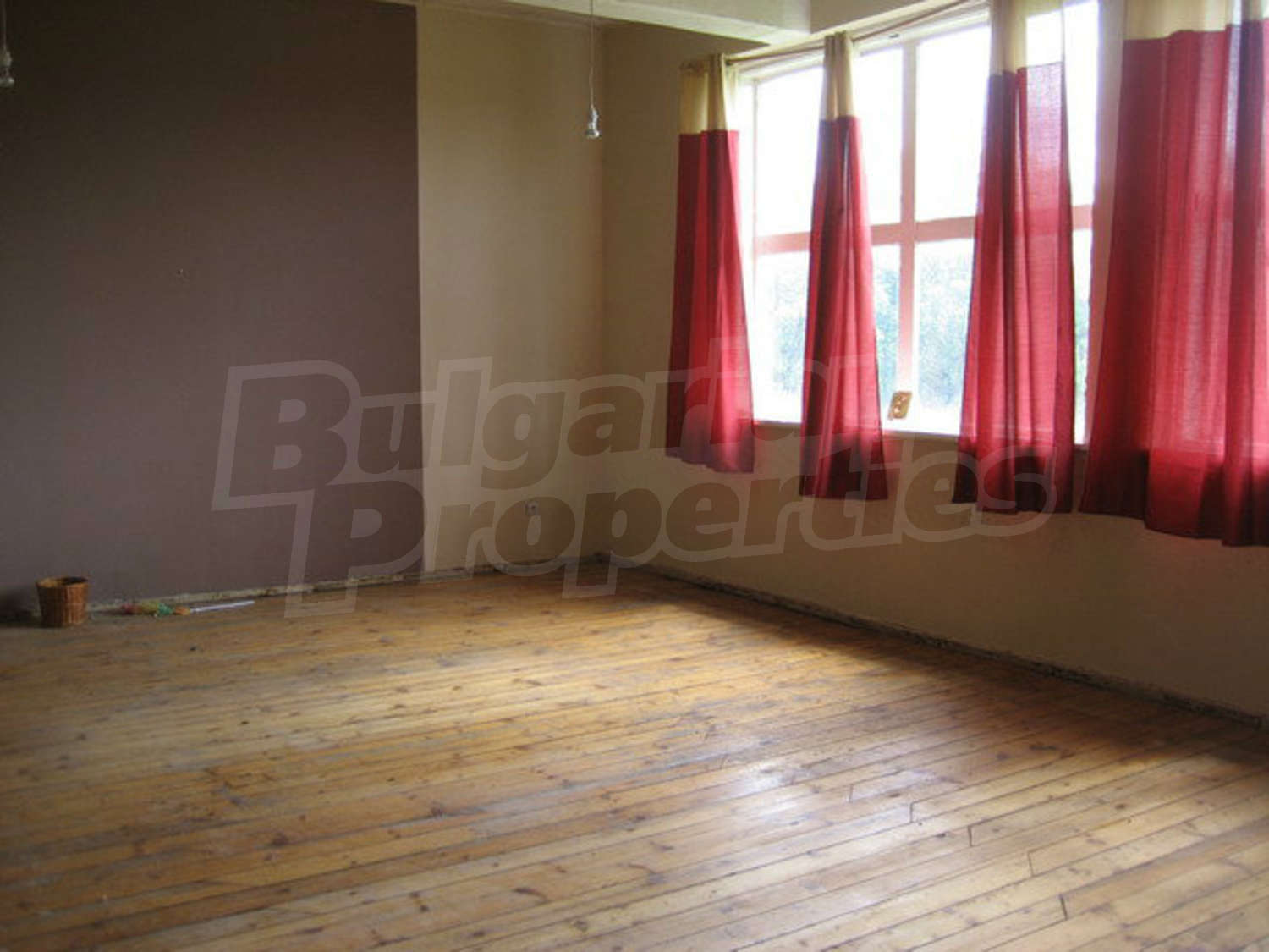 Gallery Picture 59