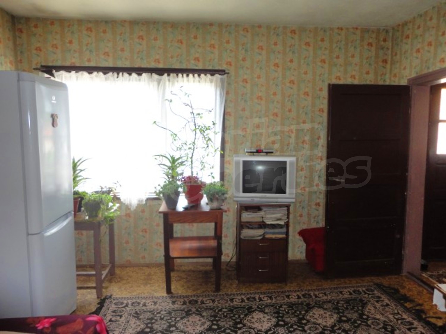 Gallery Picture 19