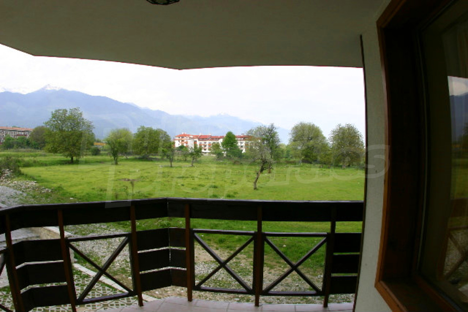 Gallery Picture 23