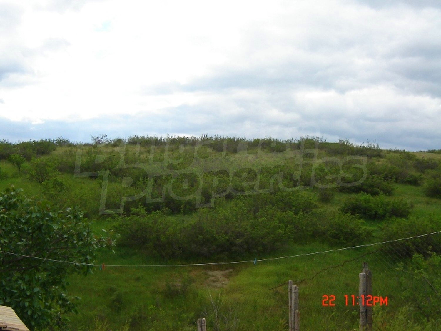 Gallery Picture 23