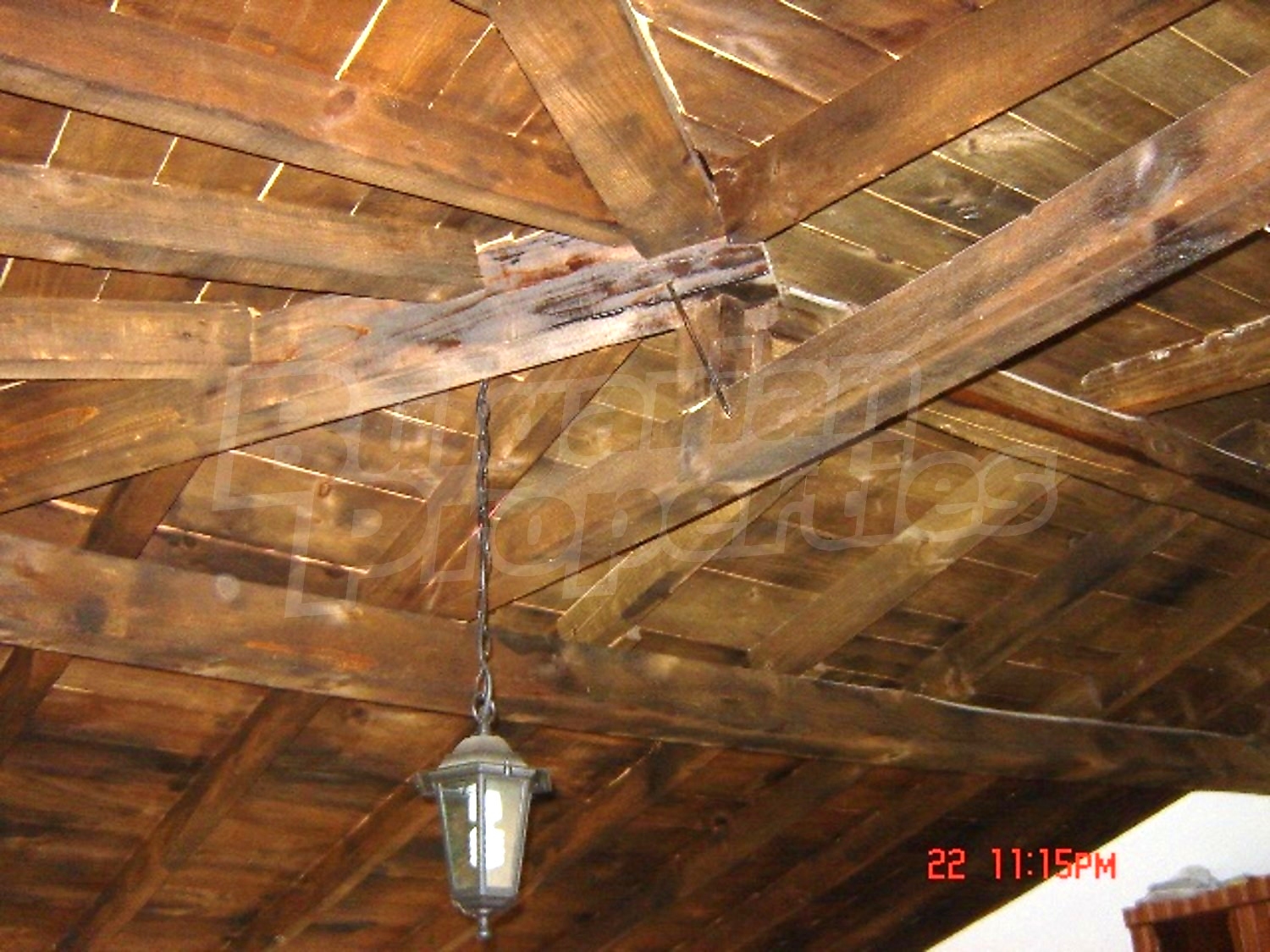 Gallery Picture 5