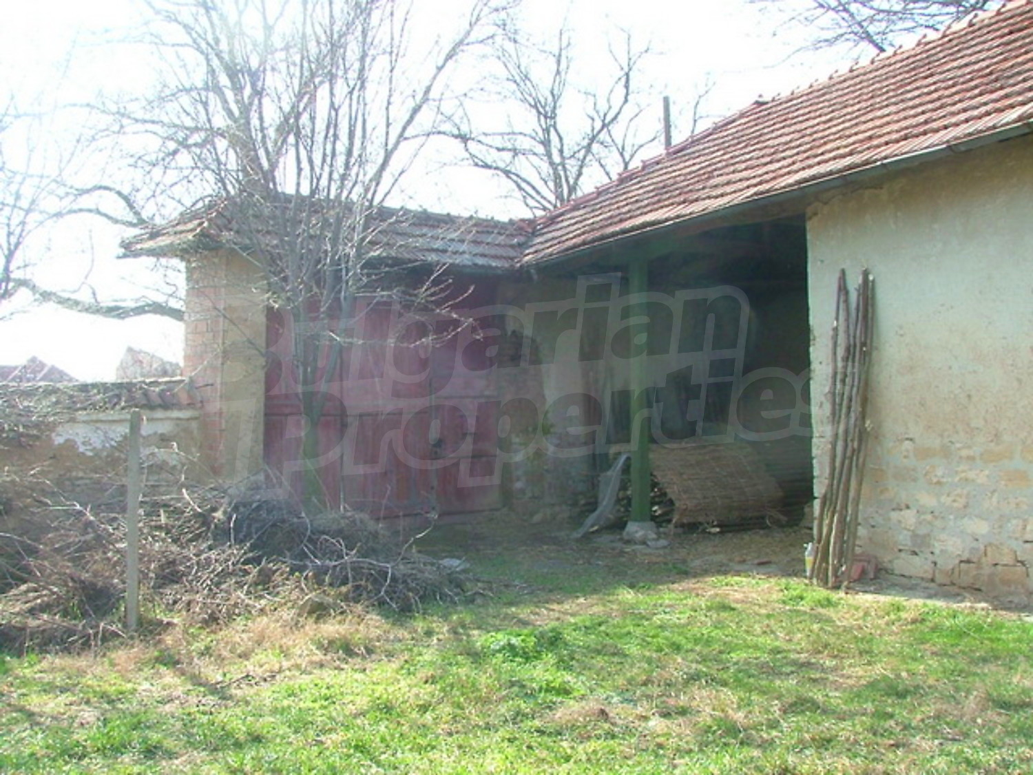 Gallery Picture 12