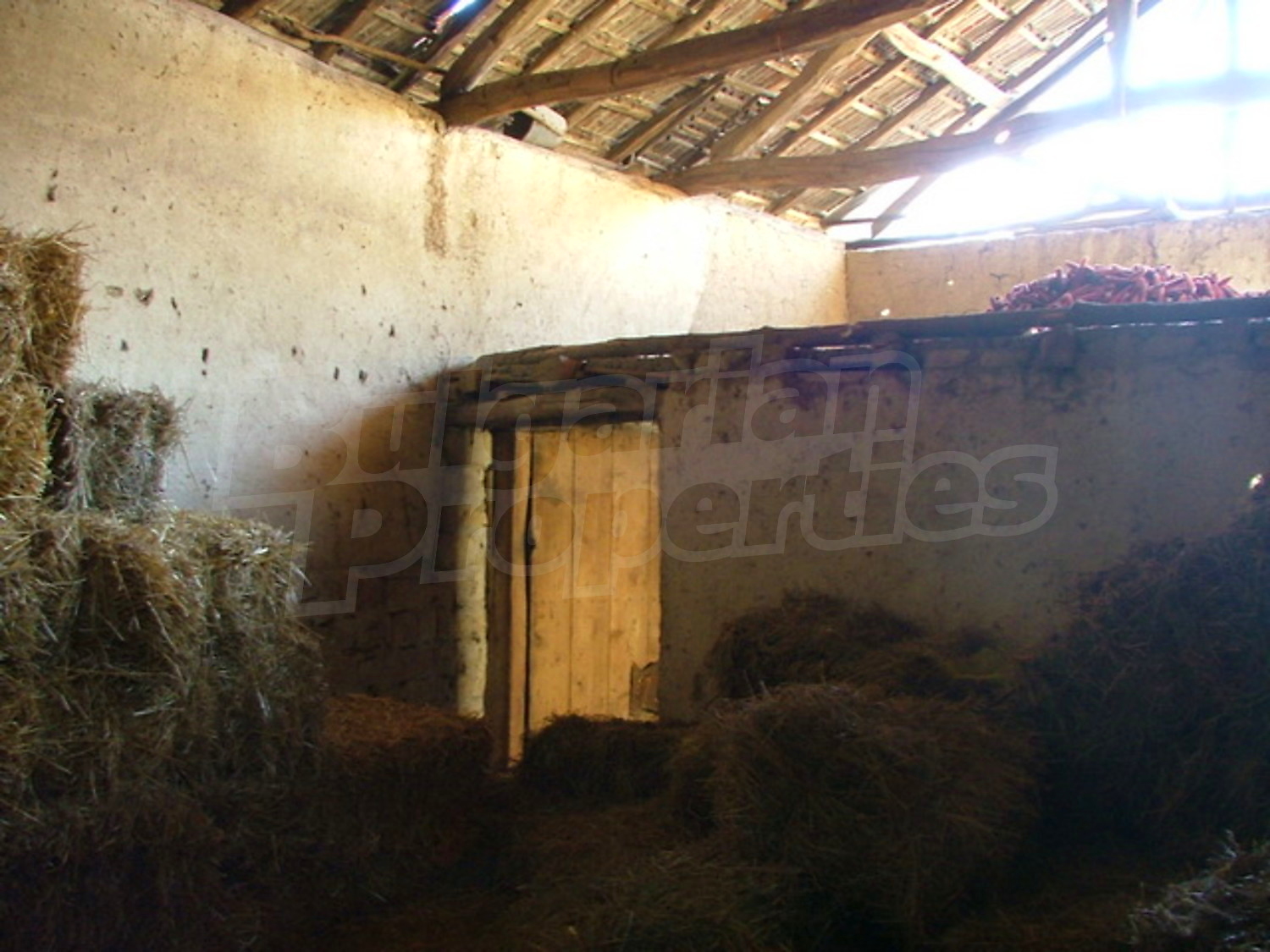 Gallery Picture 13