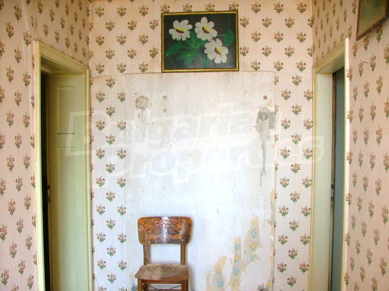 Gallery Picture 5