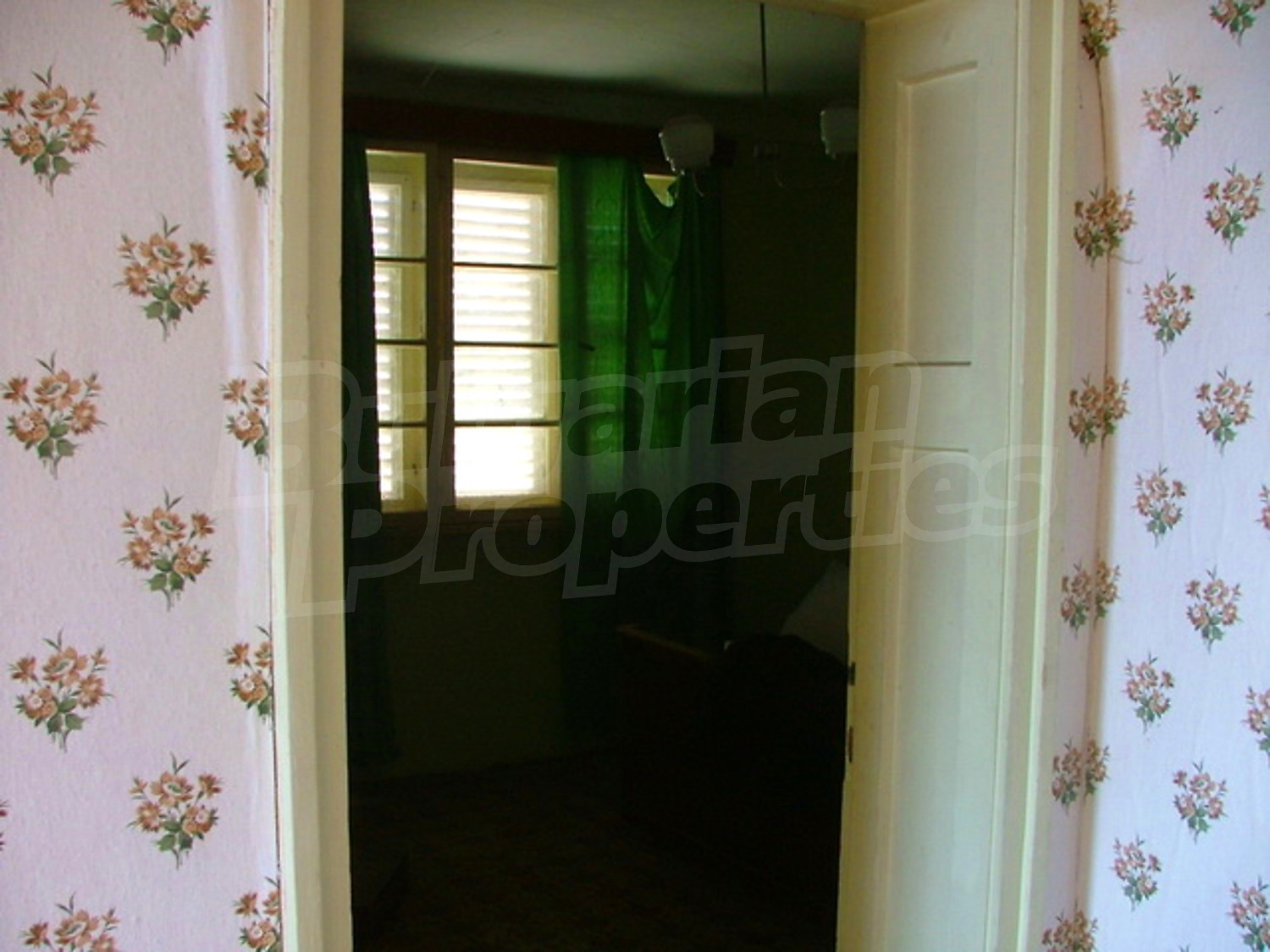 Gallery Picture 8
