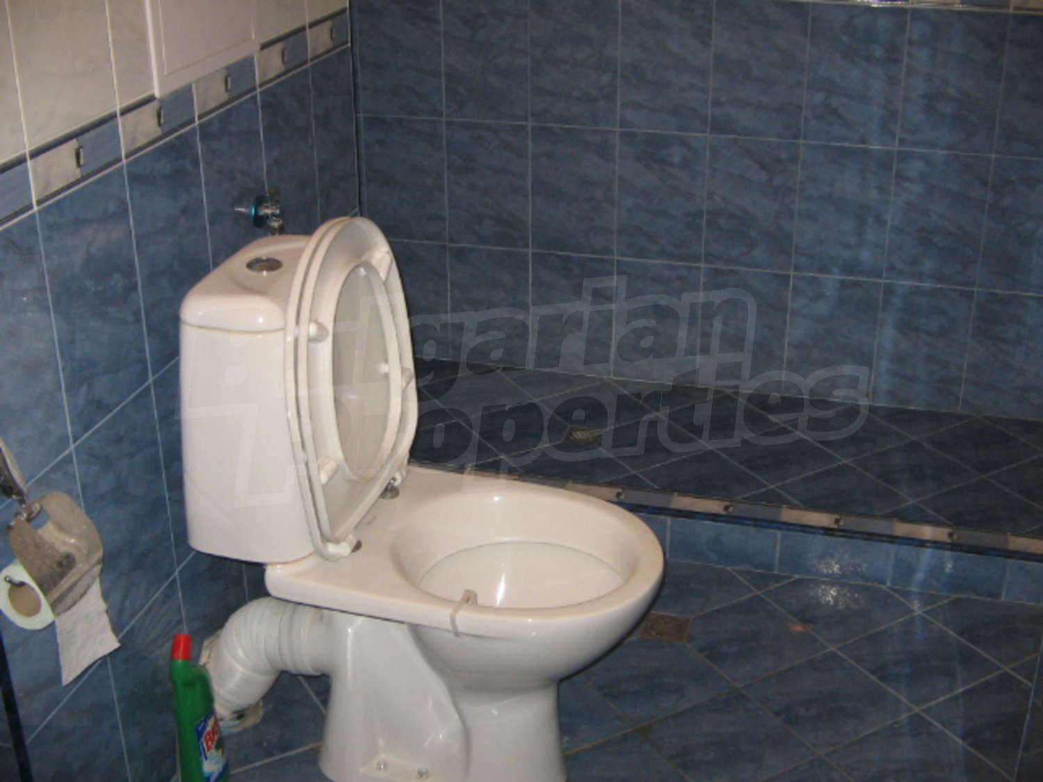 Gallery Picture 17