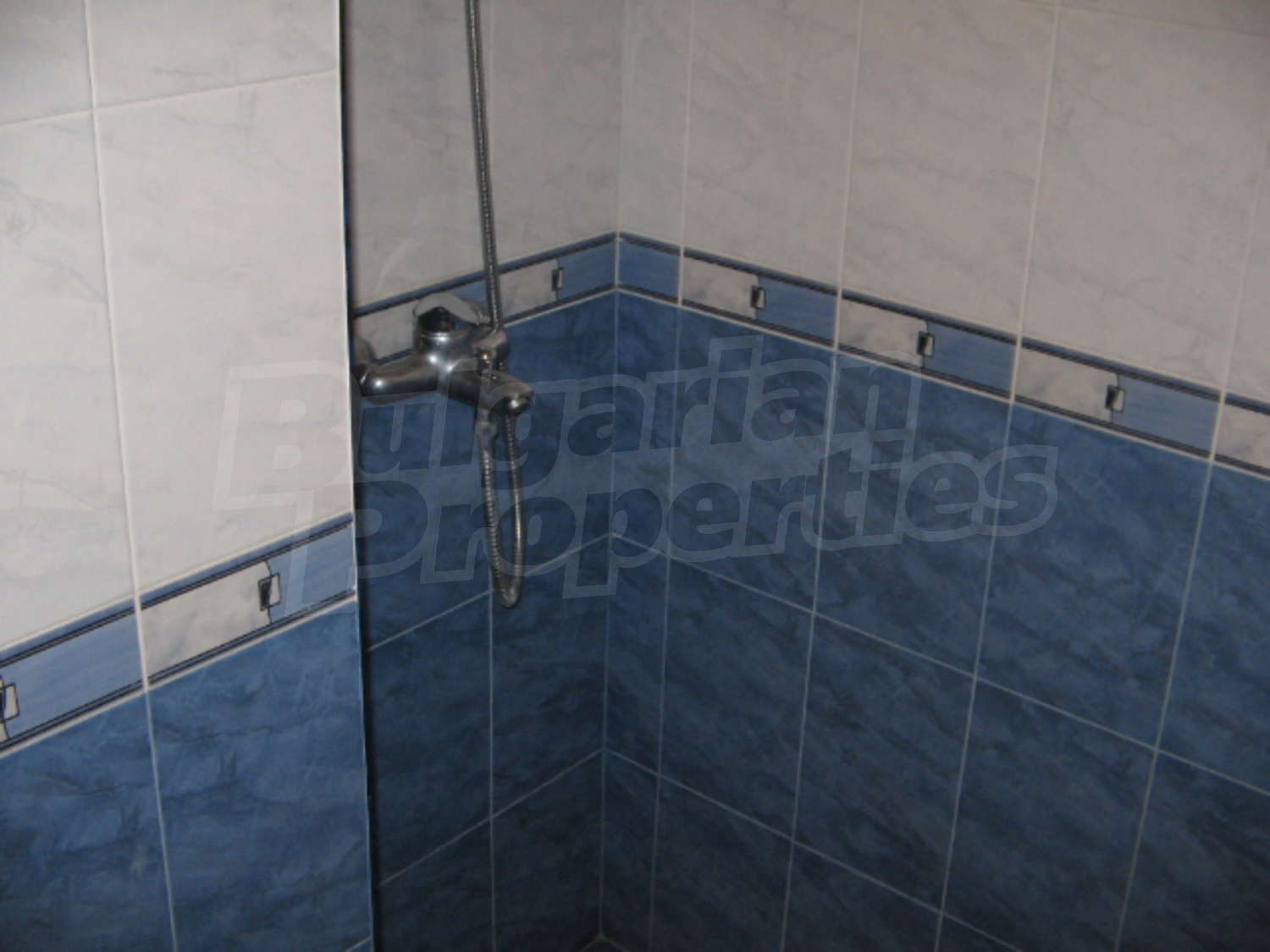 Gallery Picture 19