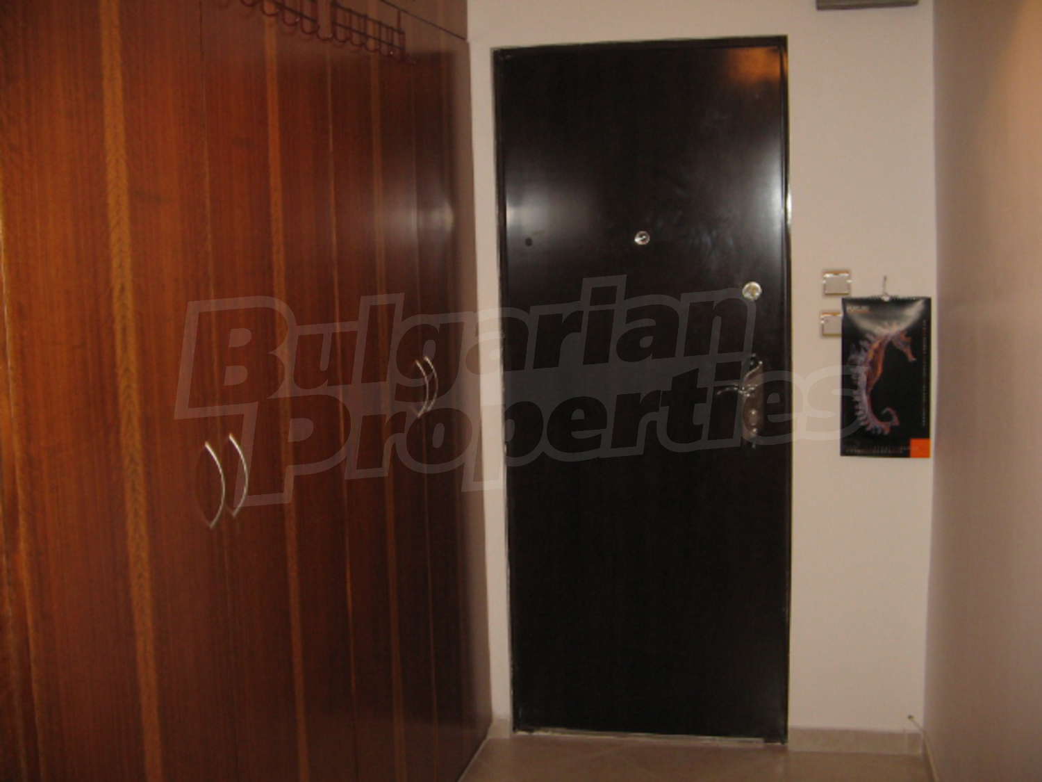 Gallery Picture 20