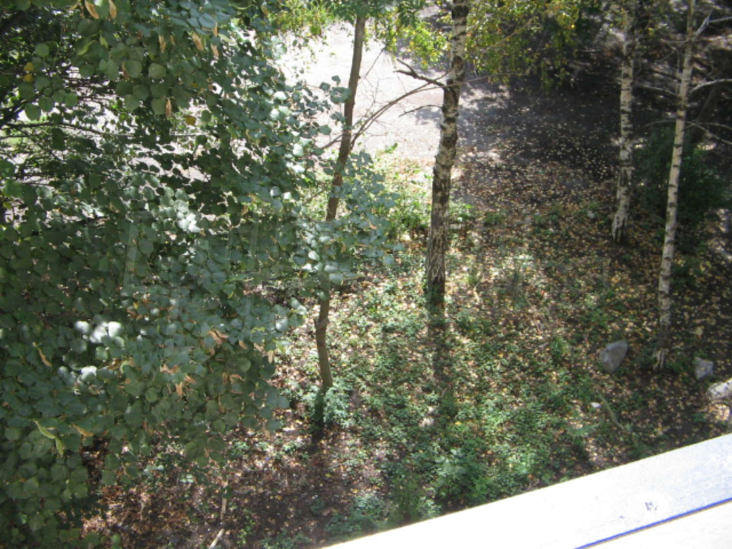 Gallery Picture 6