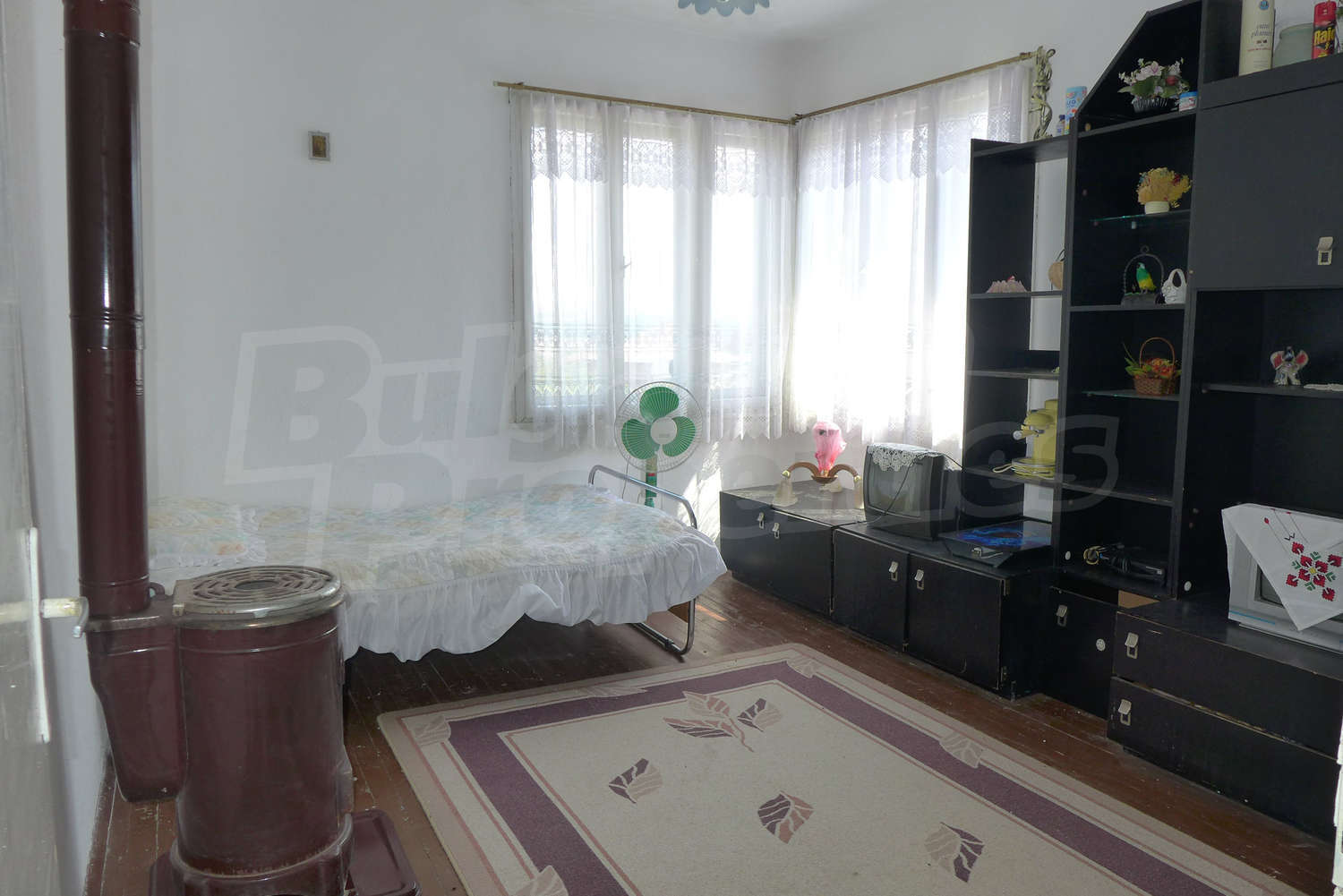 Gallery Picture 19
