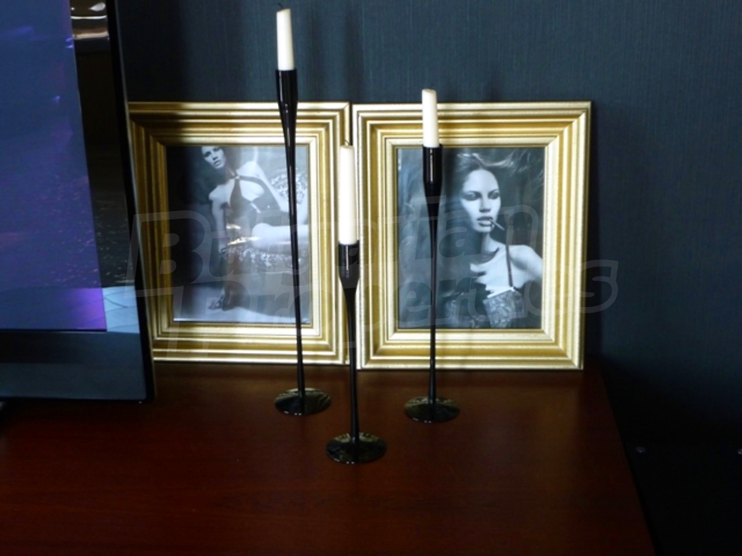 Gallery Picture 19