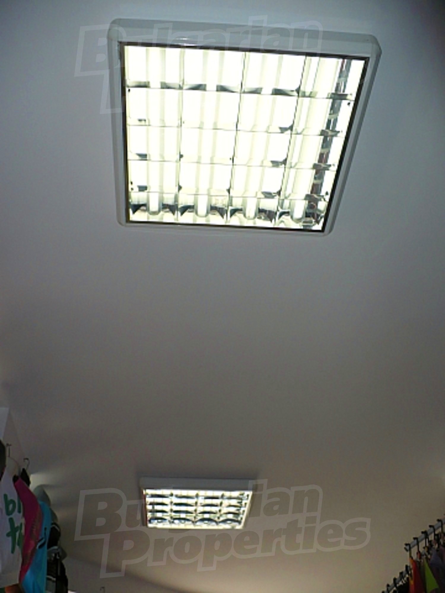 Gallery Picture 10