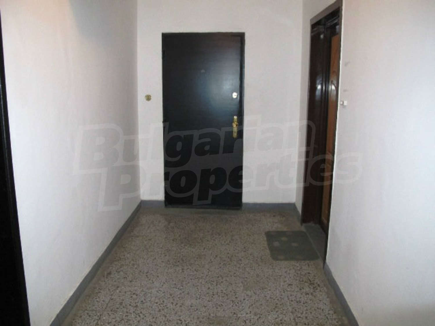 Gallery Picture 26