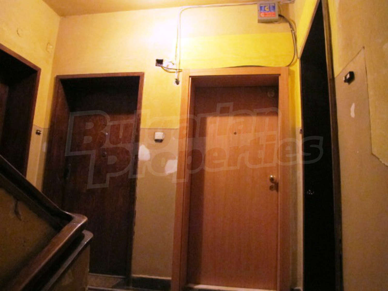Gallery Picture 19