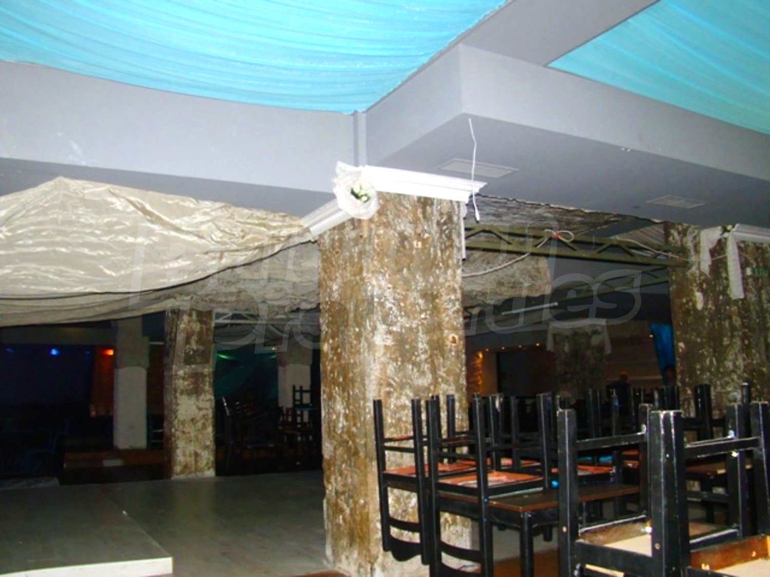 Gallery Picture 12