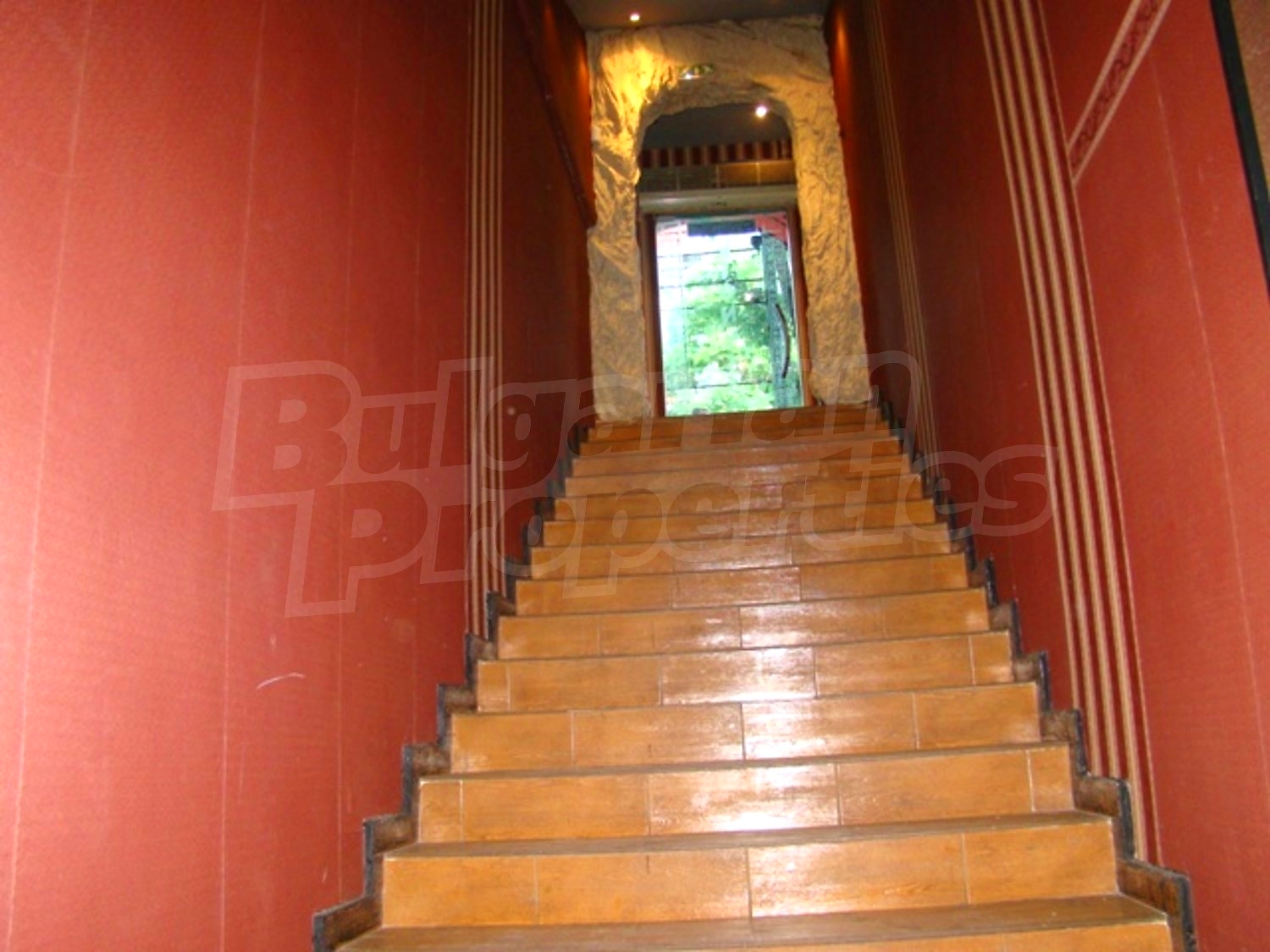 Gallery Picture 35