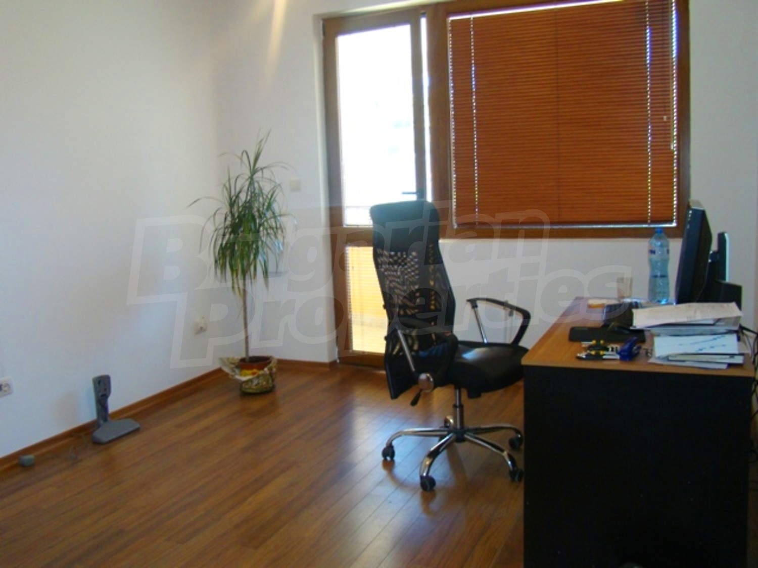 Gallery Picture 15