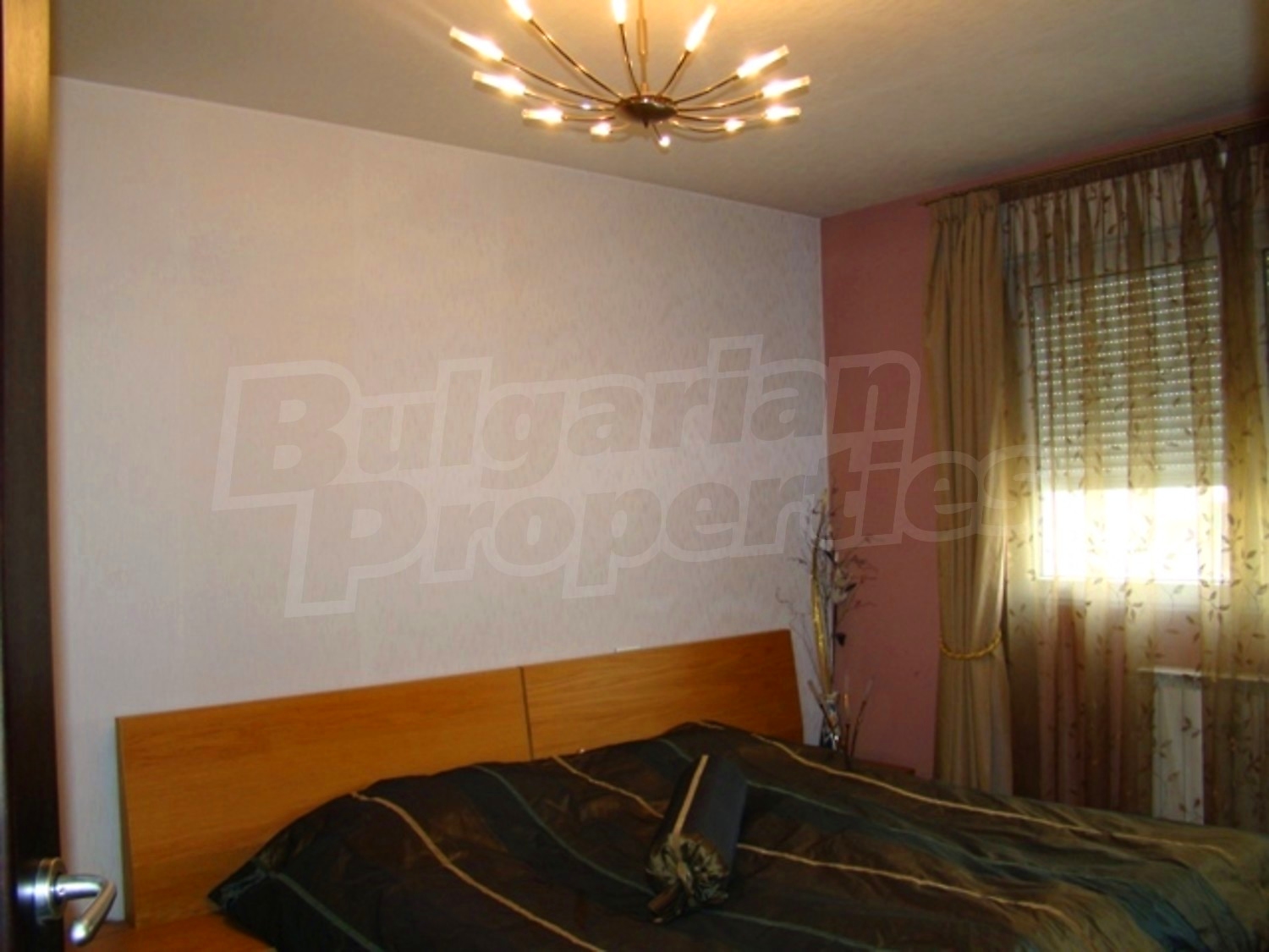 Gallery Picture 19