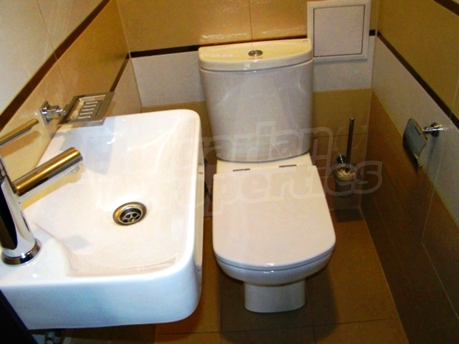 Gallery Picture 13
