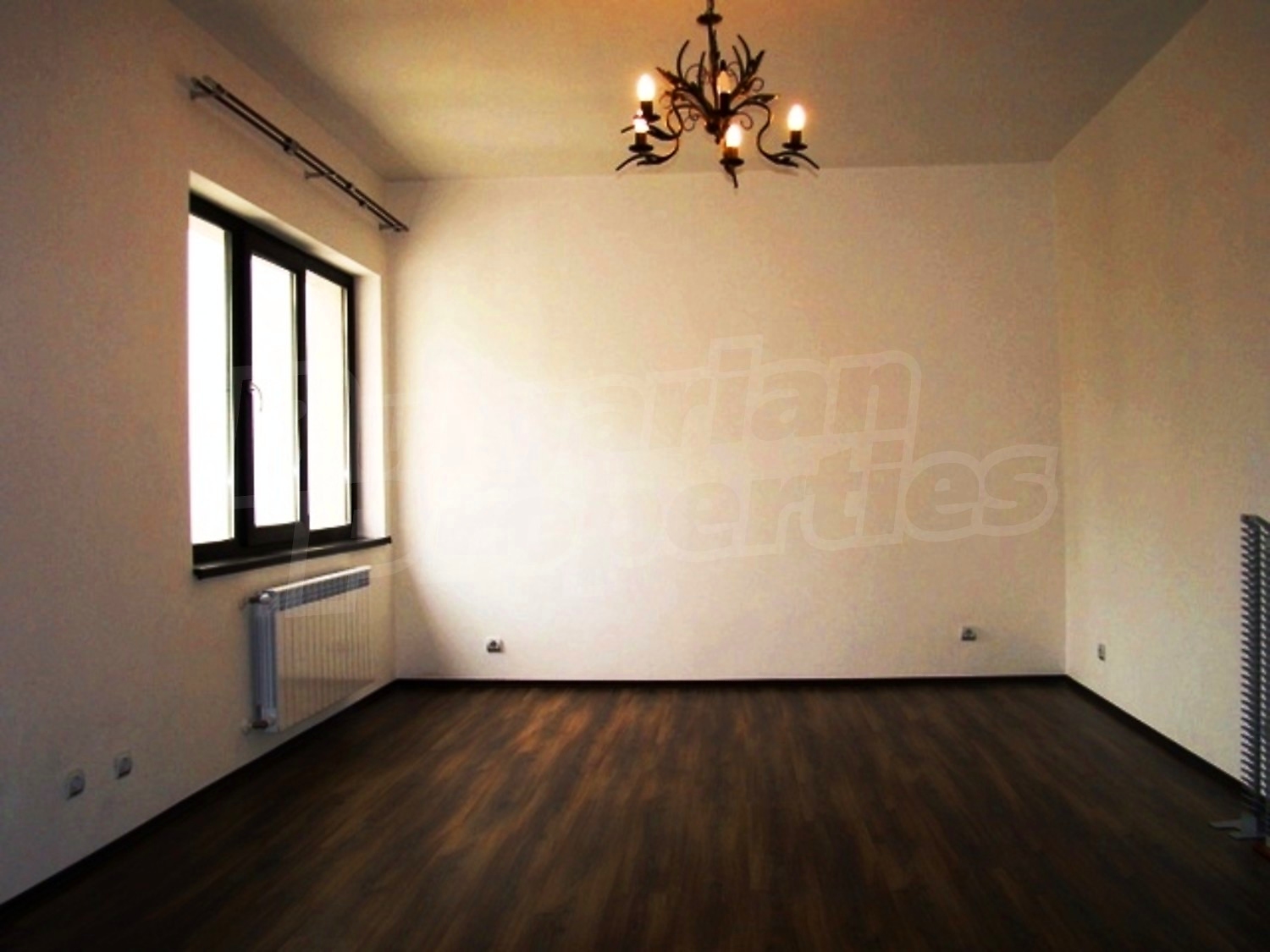 Gallery Picture 14