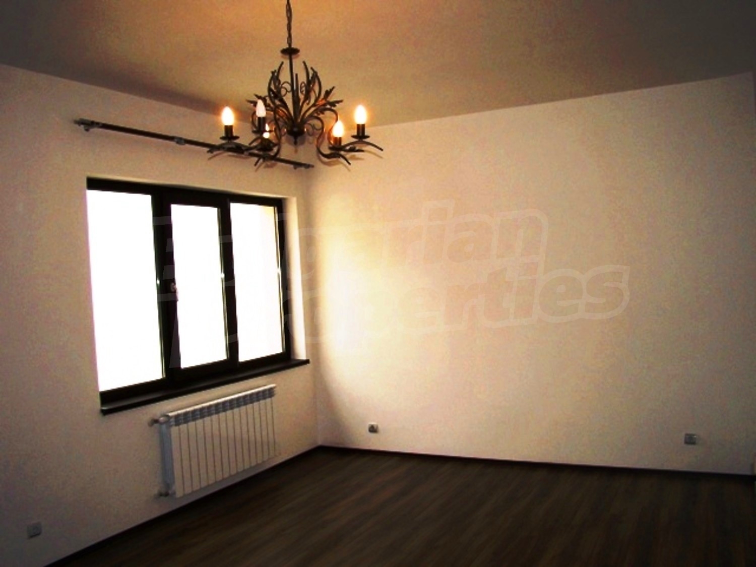Gallery Picture 16