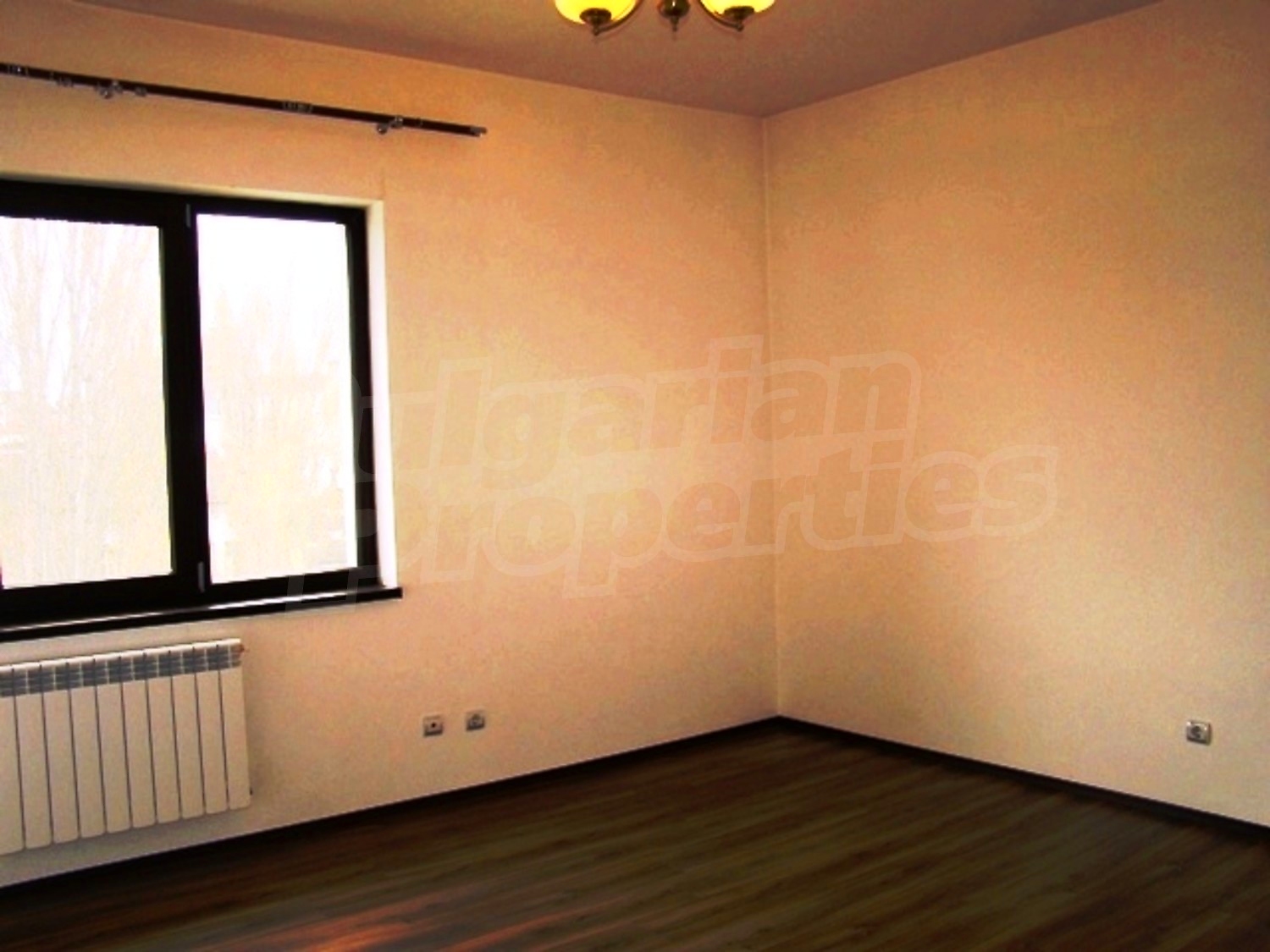 Gallery Picture 20