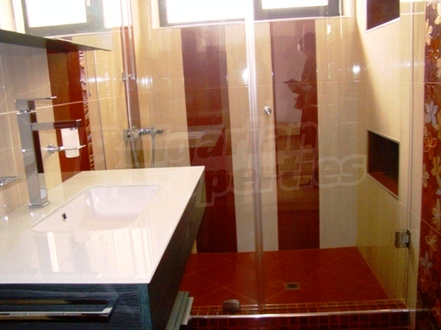 Gallery Picture 26