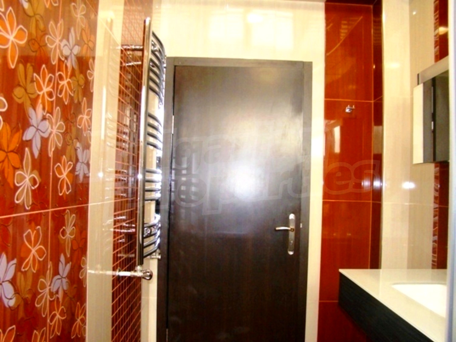 Gallery Picture 28