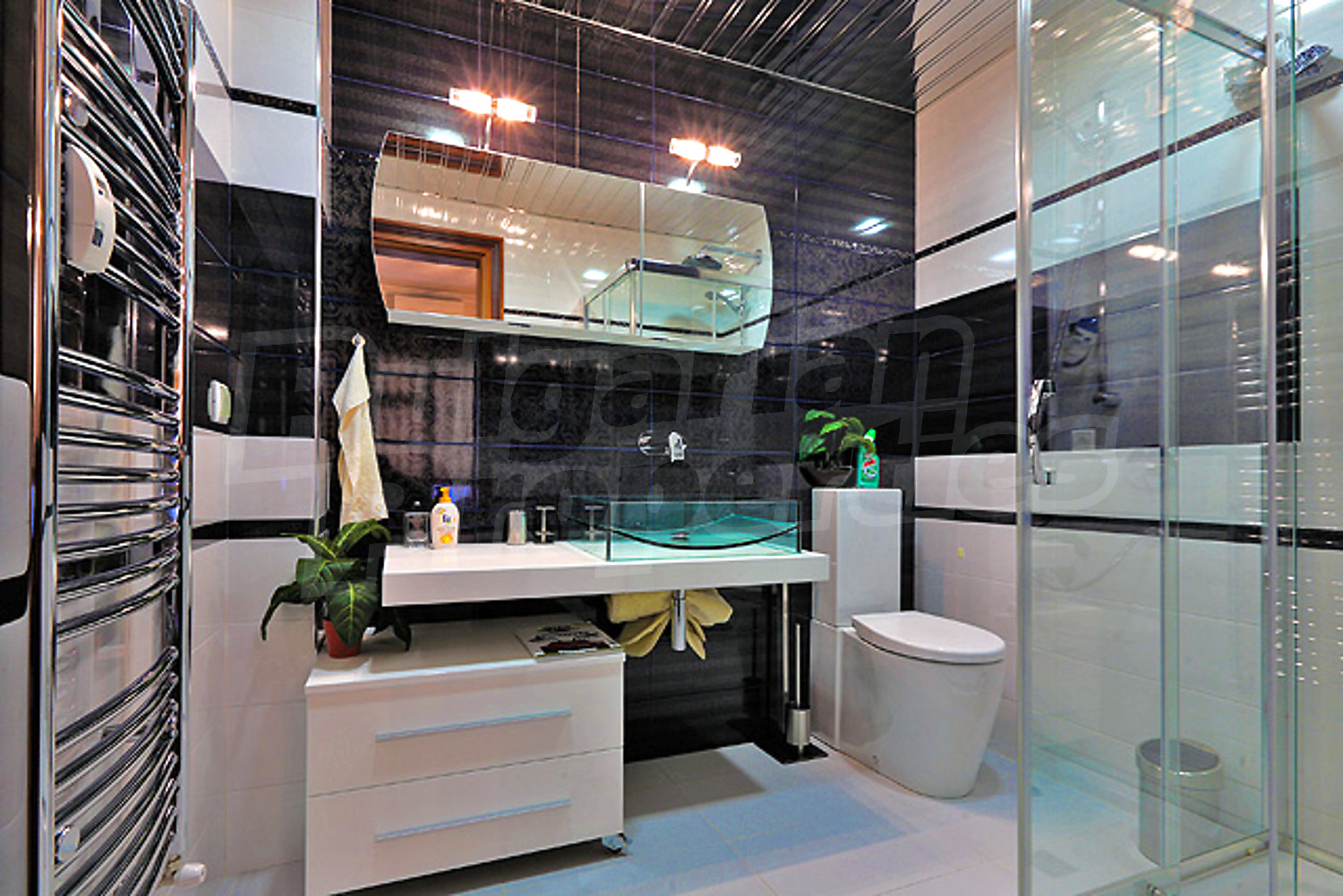 Gallery Picture 11