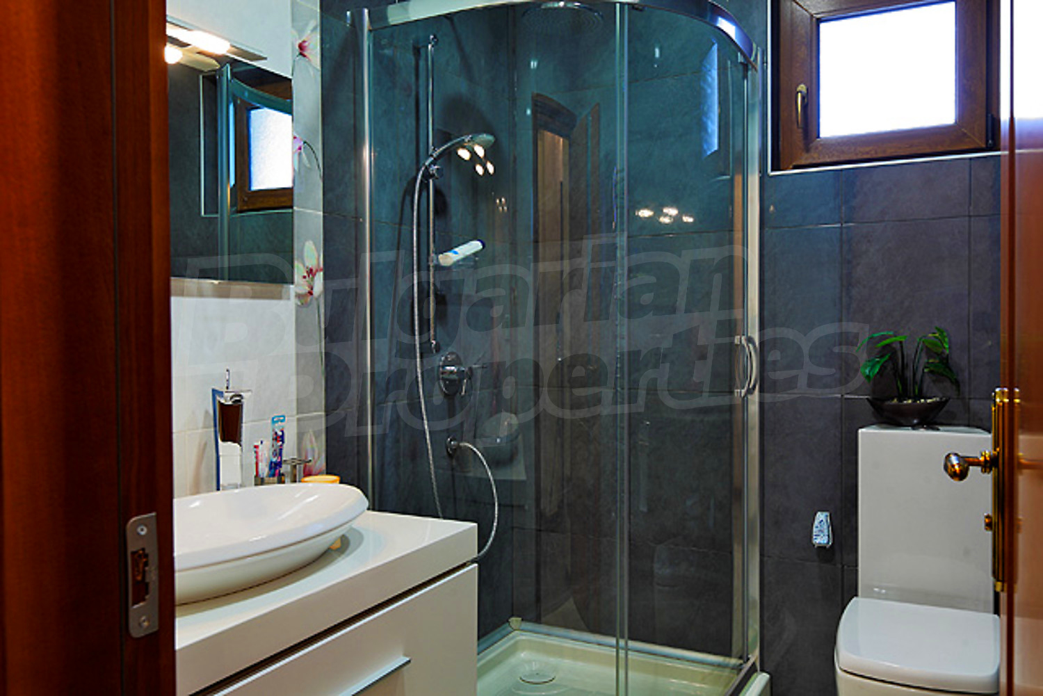 Gallery Picture 37