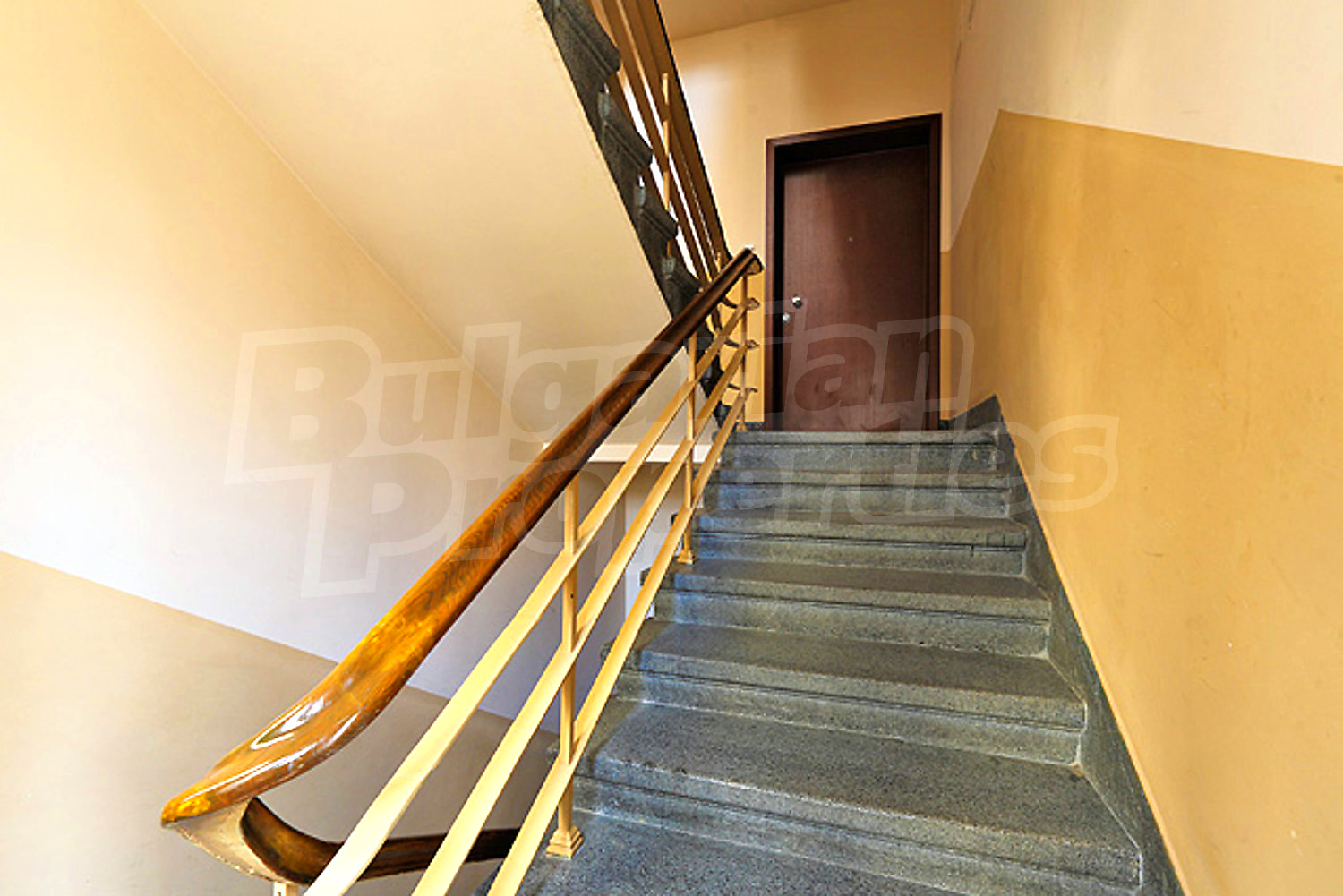 Gallery Picture 42